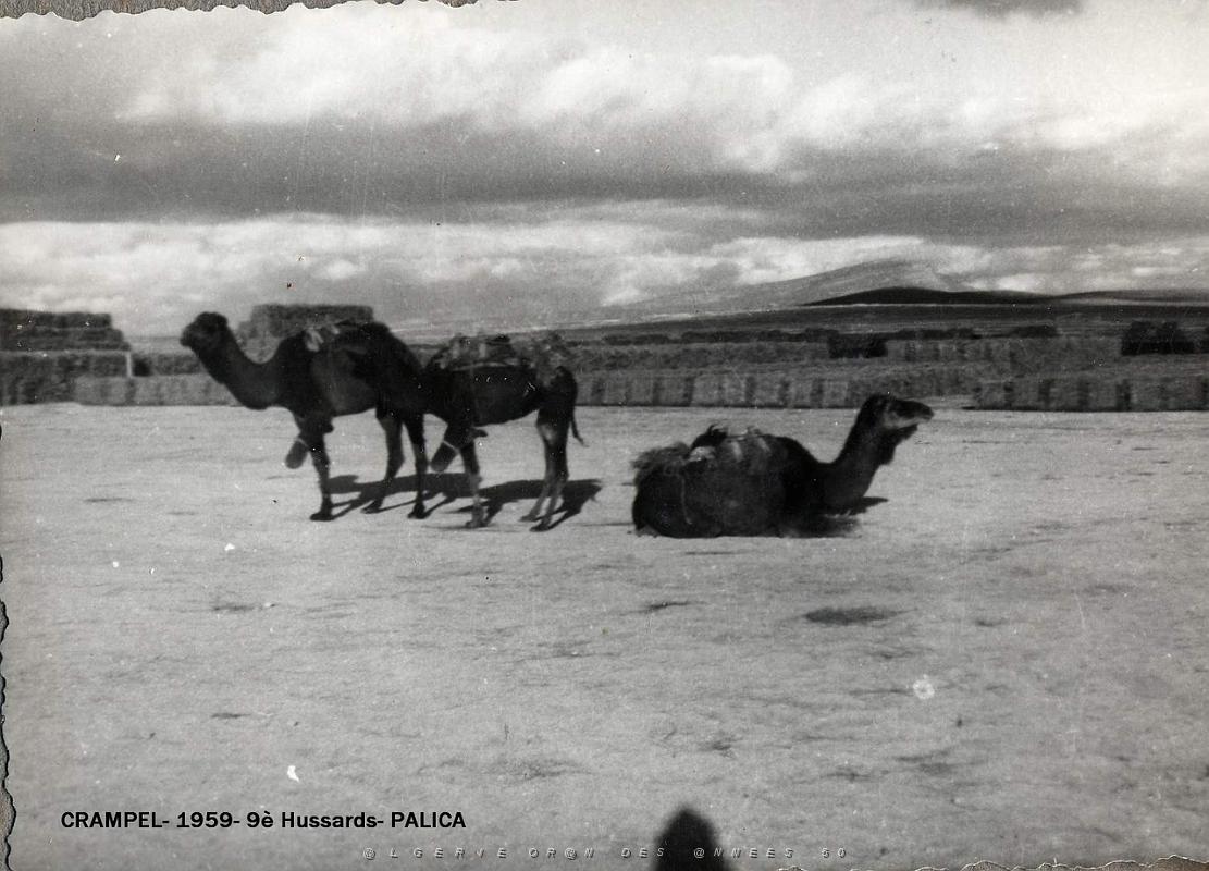 Palica - Crampel 010.jpg
